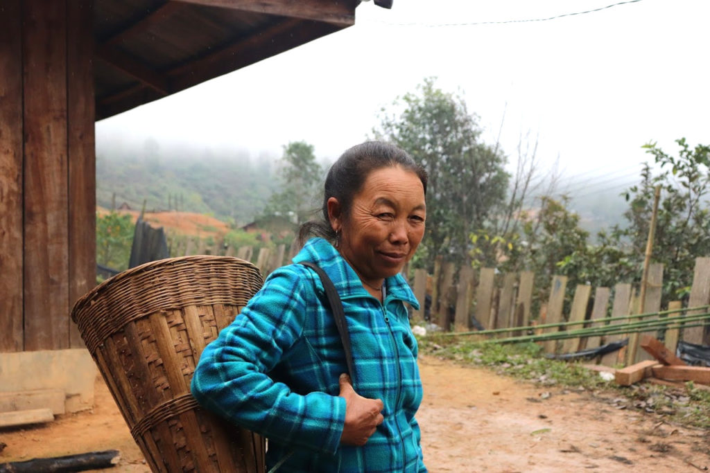 Farmers Switching From Opium Poppies to Coffee Beans in Laos' Huaphan Province with Vanmai Coffee